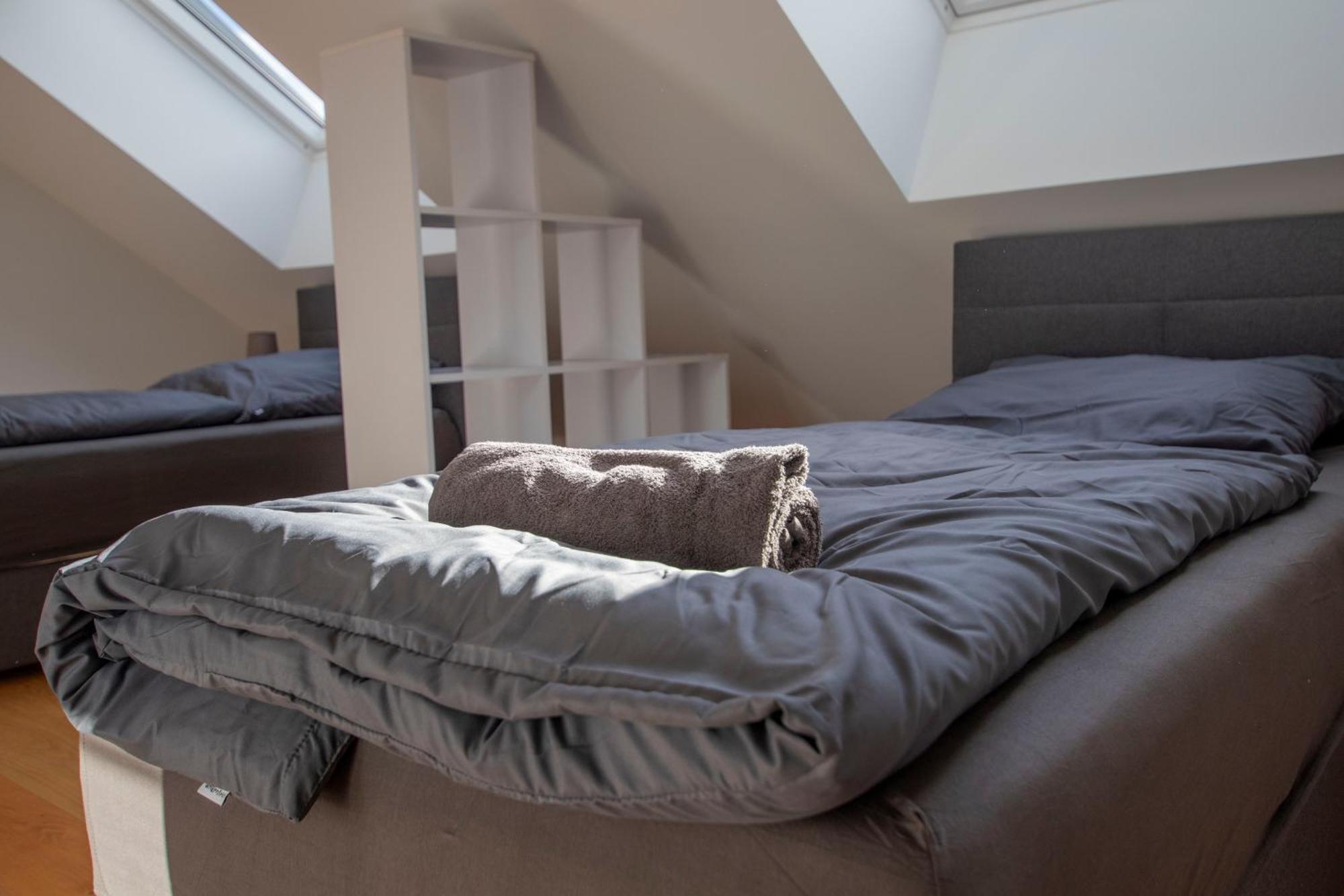 Appartement Wohlleben Petrus Vi *